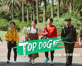 星空视频《TOP DOG》免费在线观看