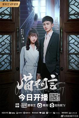 春月直播《喵不可言》免费在线观看