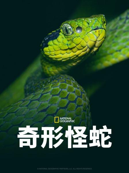 春月直播《奇形怪蛇》免费在线观看