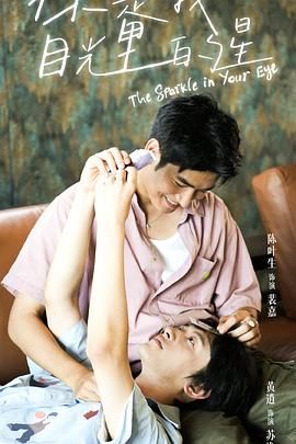 电视剧《你是我目光里的星》高清在线免费观看